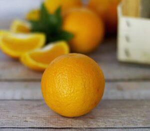 Estudo aponta solução para aumento da produtividade de laranjeiras