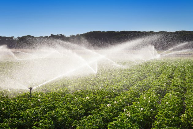 Uso da água no campo exige autorização; veja o que fazer para ficar em dia  com a Lei