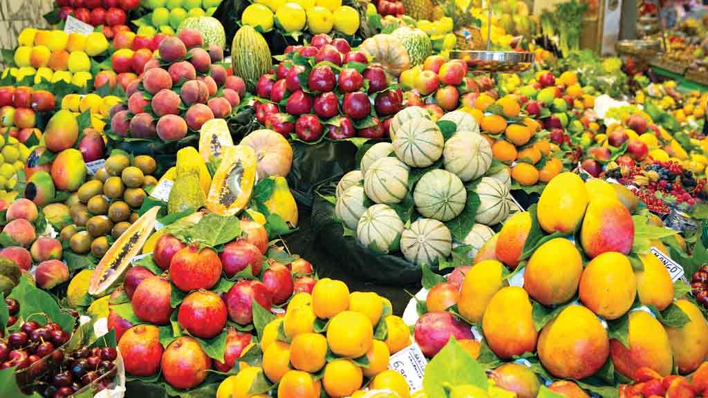 Brazilian fruit exports stand out in 2021 Tridge