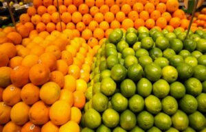 O Mercado citrus de mesa, o maior mercado dentro da fruticultura tem muitos desafios.