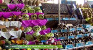 Feira exibe frutas exóticas para todos os gostos, em Jaboticabal