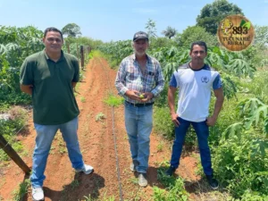 Tabaporã aposta na fruticultura com apoio aos produtores