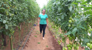 Agricultura orgânica no norte do Paraná cresce 63% em certificações