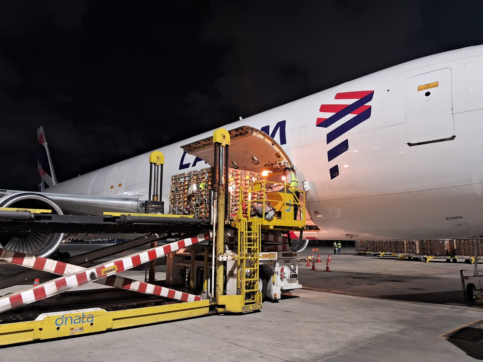 Exportadores brasileiros ganham nova rota de cargas com destino à Europa