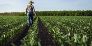 Parlamentares reagem ao cancelamento de sessão que analisaria vetos à Lei Geral do Licenciamento Ambiental