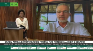 Brasil amplia exportação de frutas, mas potencial ainda é desafio