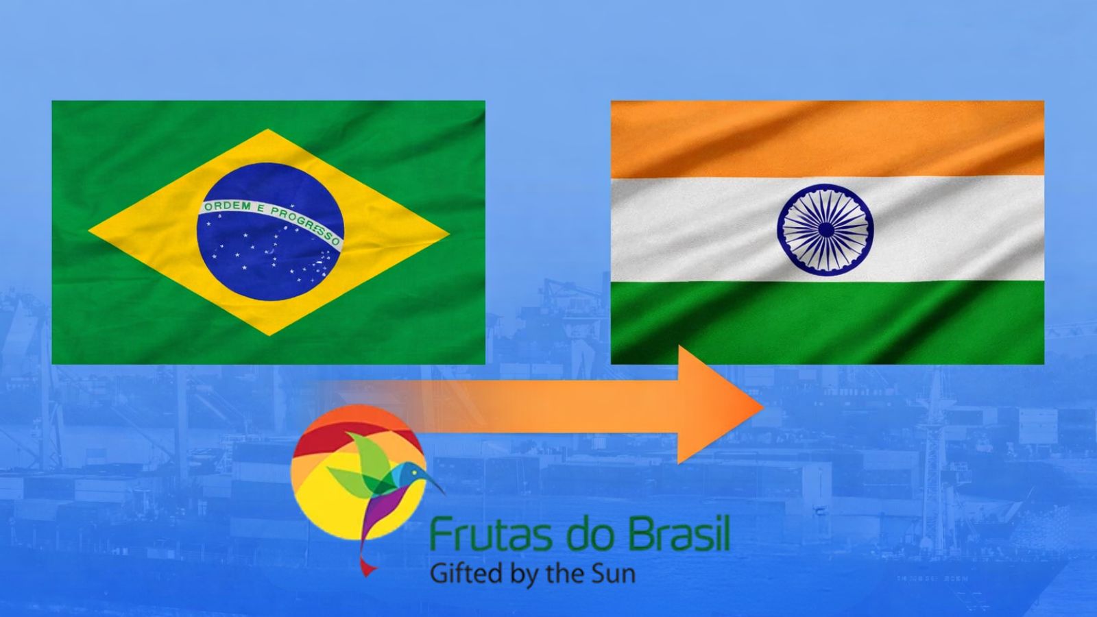 Abrafrutas intensifica promoção internacional e leva frutas brasileiras ao mercado indiano em missão estratégica