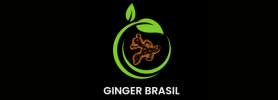 Imagem Site (3)