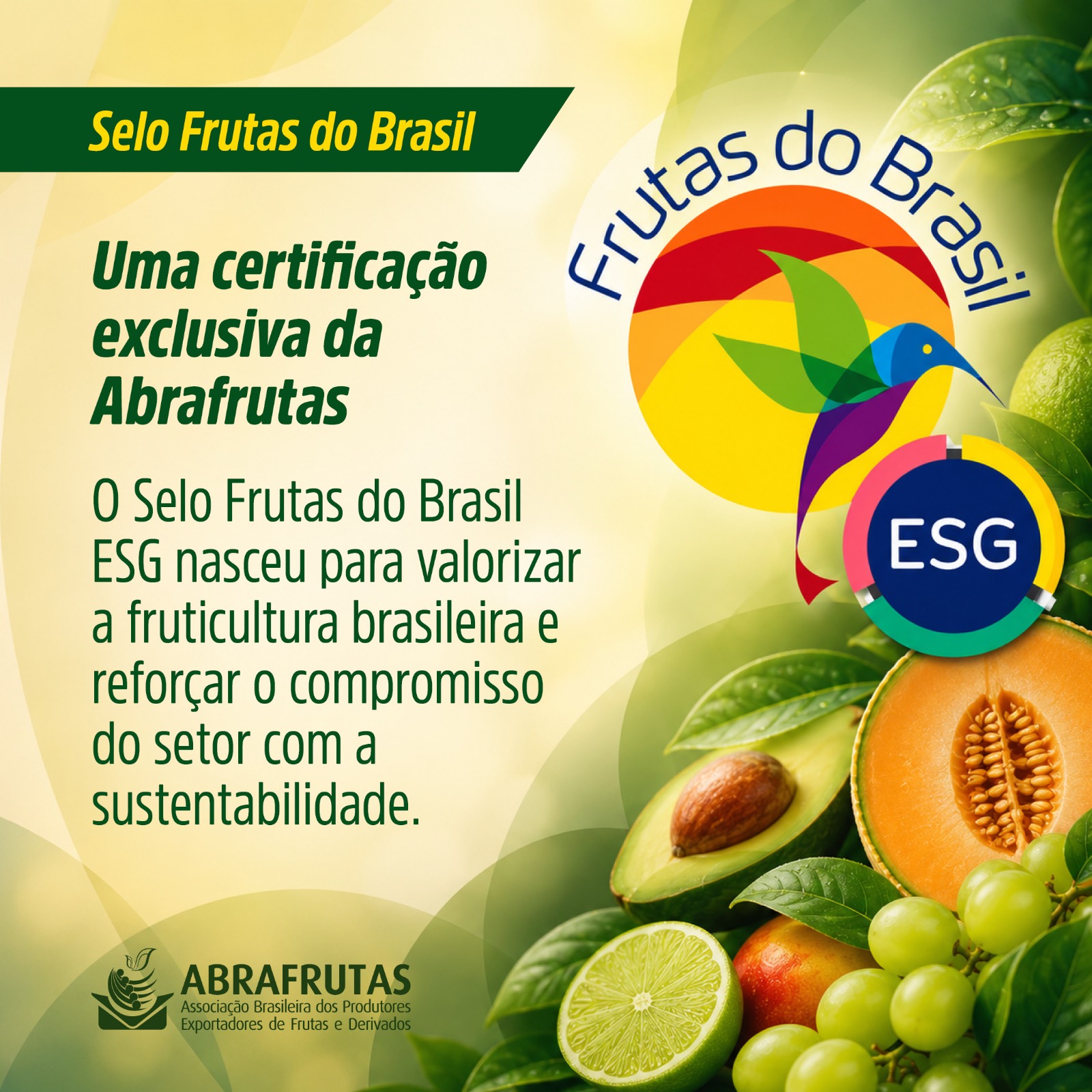 Sustentabilidade deixa de ser diferencial e passa a definir o futuro da fruticultura brasileira