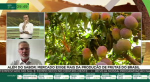 Frutas brasileiras enfrentam mercado internacional cada vez mais exigente